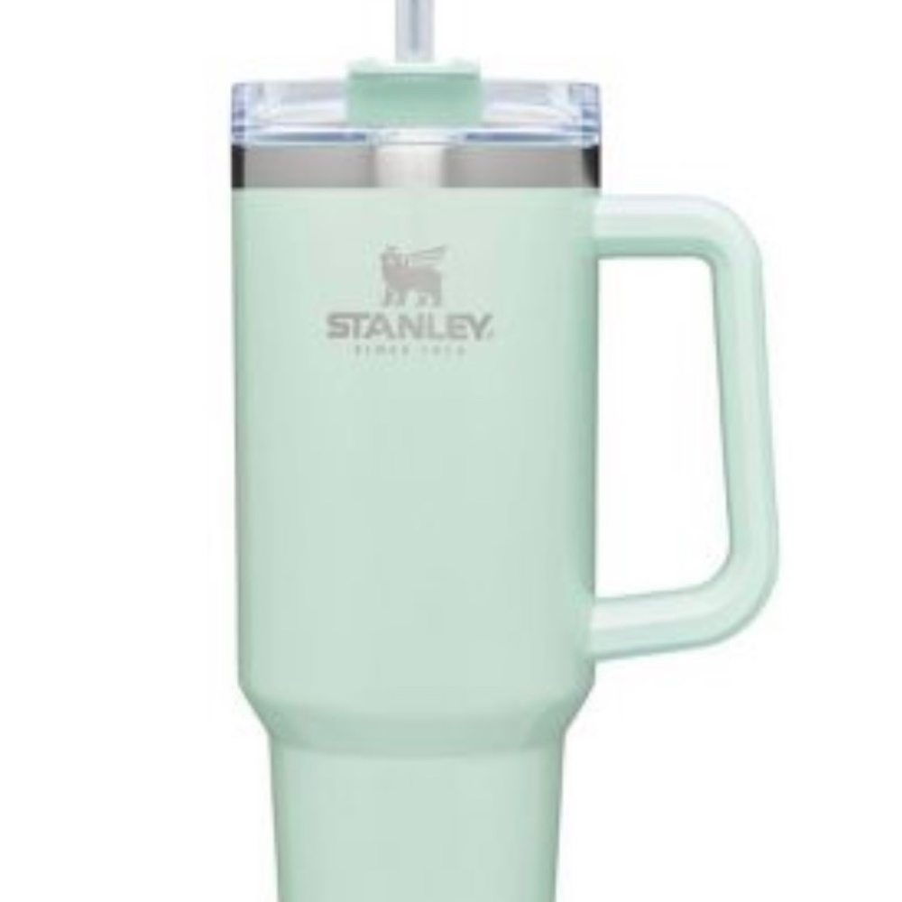 RARE🫶🏼 Spearmint Stanley 40 oz Tumbler with Handle